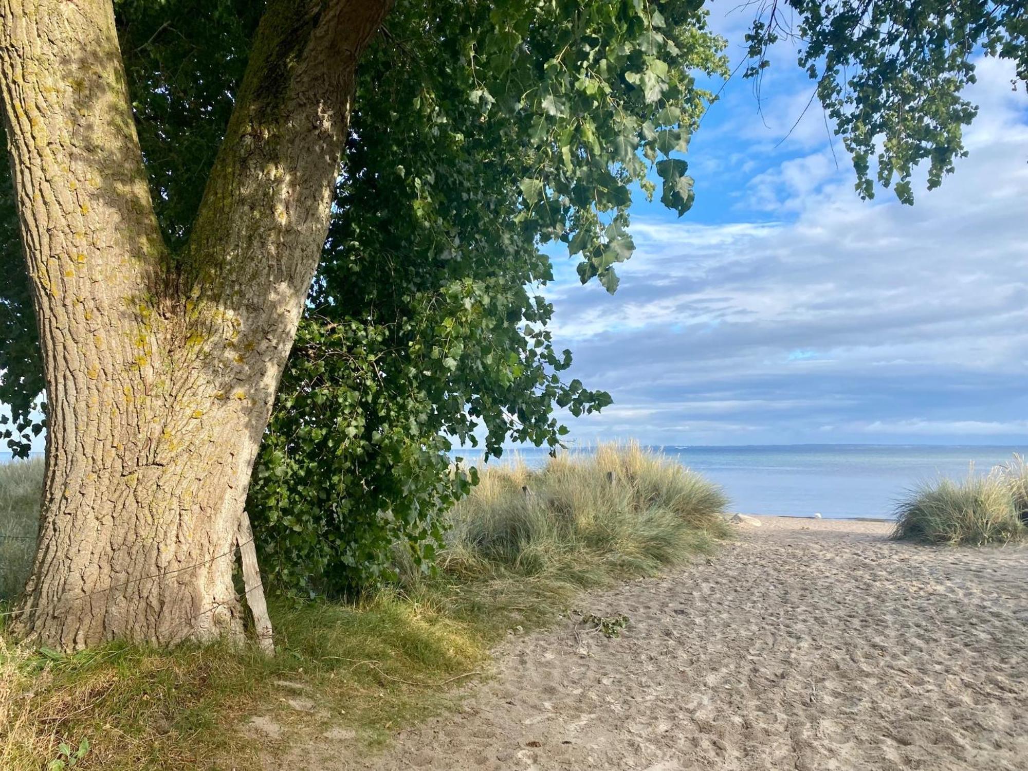 Feriendorf Suedstrand Haus 49 Pelzerhaken Exteriör bild
